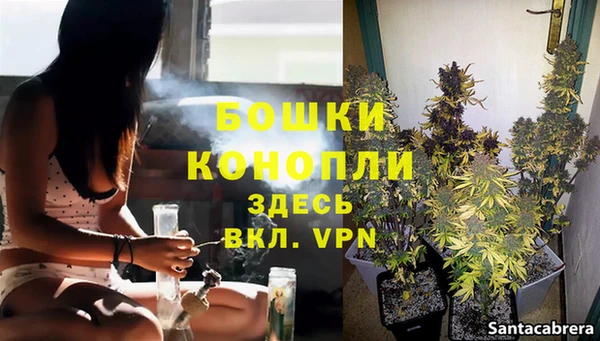 ECSTASY Мегион