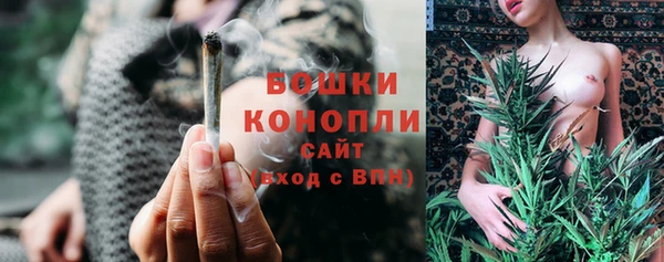 стафф Михайлов