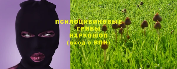 герыч Медногорск