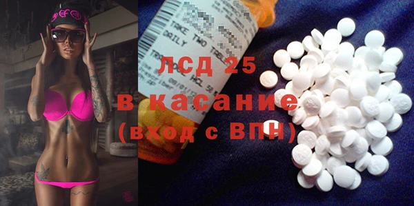 стафф Михайлов