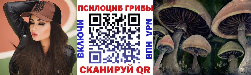 hydra ССЫЛКА  как найти закладки  Лермонтов  Галлюциногенные грибы GOLDEN TEACHER 